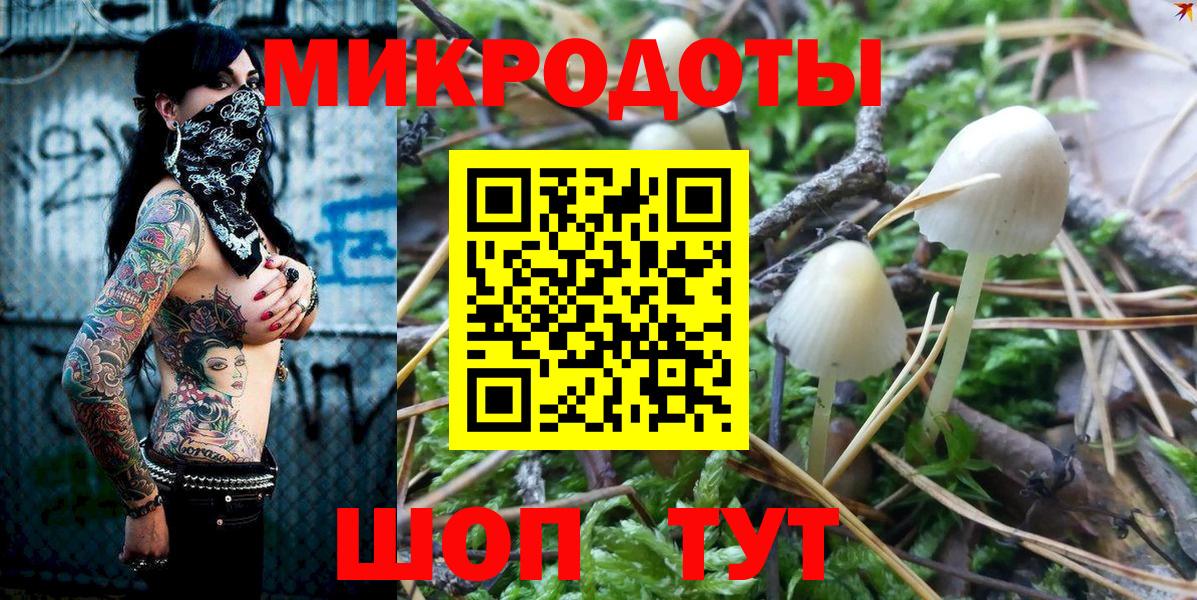 Хасавюрт  Галлюциногенные грибы мицелий  Вход с VPN 