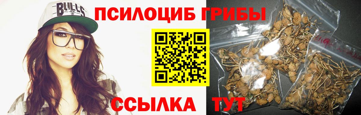 Псилоцибиновые грибы GOLDEN TEACHER Хасавюрт
